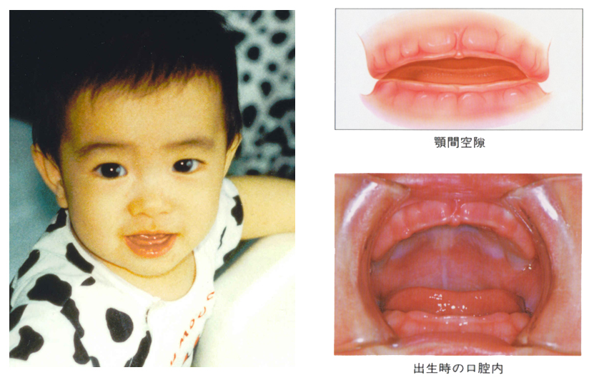 �����旧�΂̎���� �������� �q���̌��O��